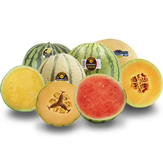 Our Fruit Melons Square