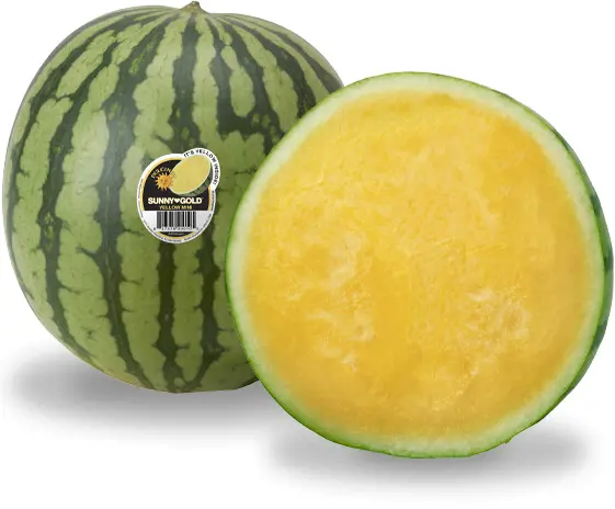 Sunny Gold Yellow Mini Seedless Watermelon