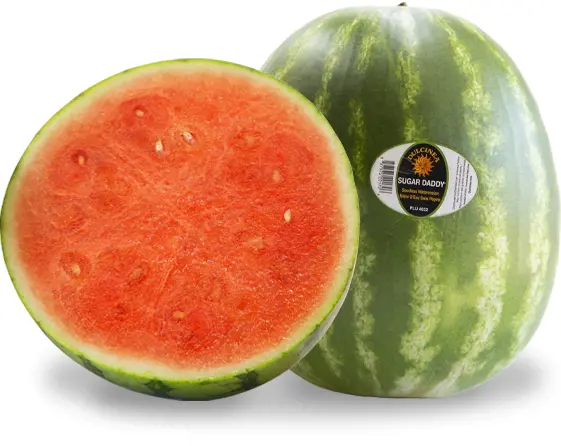 Sugar Daddy Full Size Watermelon