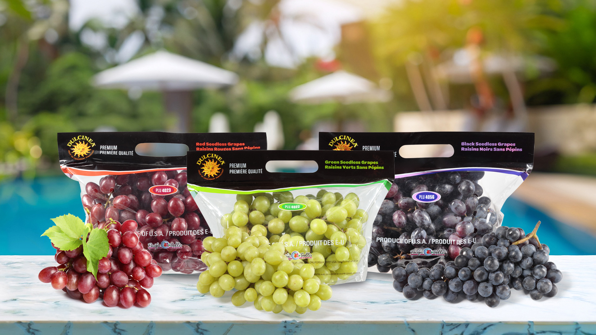 GRAPEVINE「新しい果実」新品未使用 Dulcinea® Farms - Fruit of Legendary Perfection™