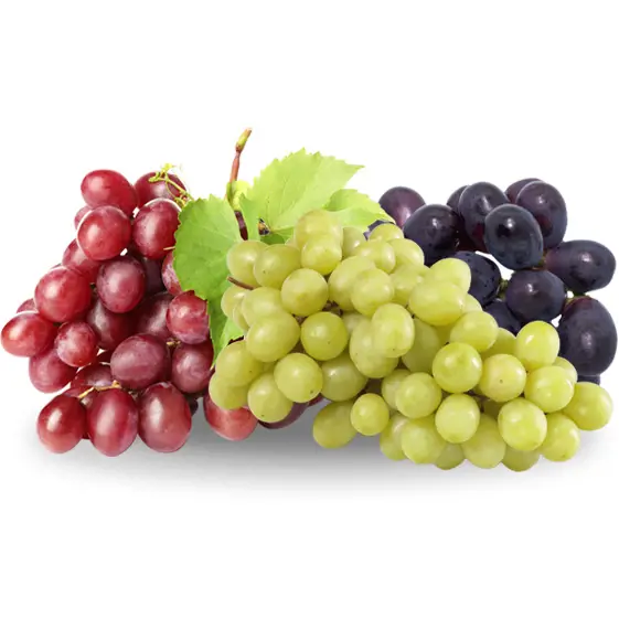 Our Fruit Grapes Square
