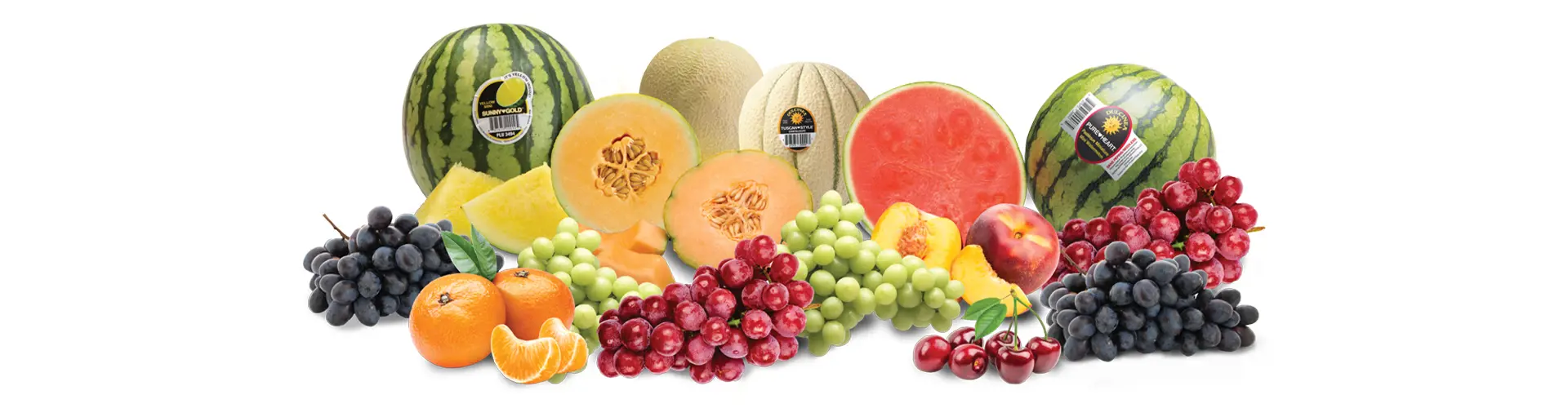 Banner Fruit 2