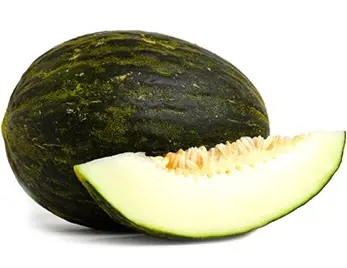Piel De Sapo