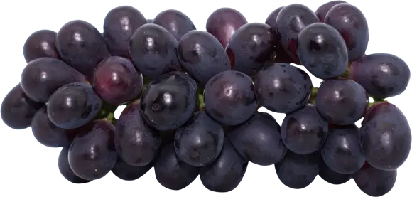 Home Fruit Grapes